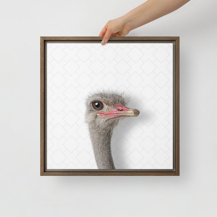 Intrigued Ostrich - Beakaboo - Framed Canvas