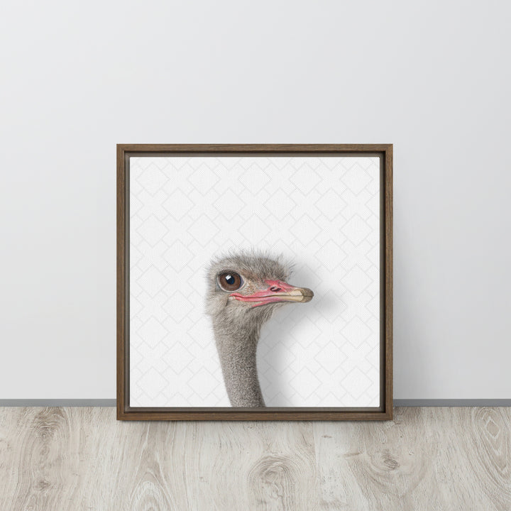 Intrigued Ostrich - Beakaboo - Framed Canvas