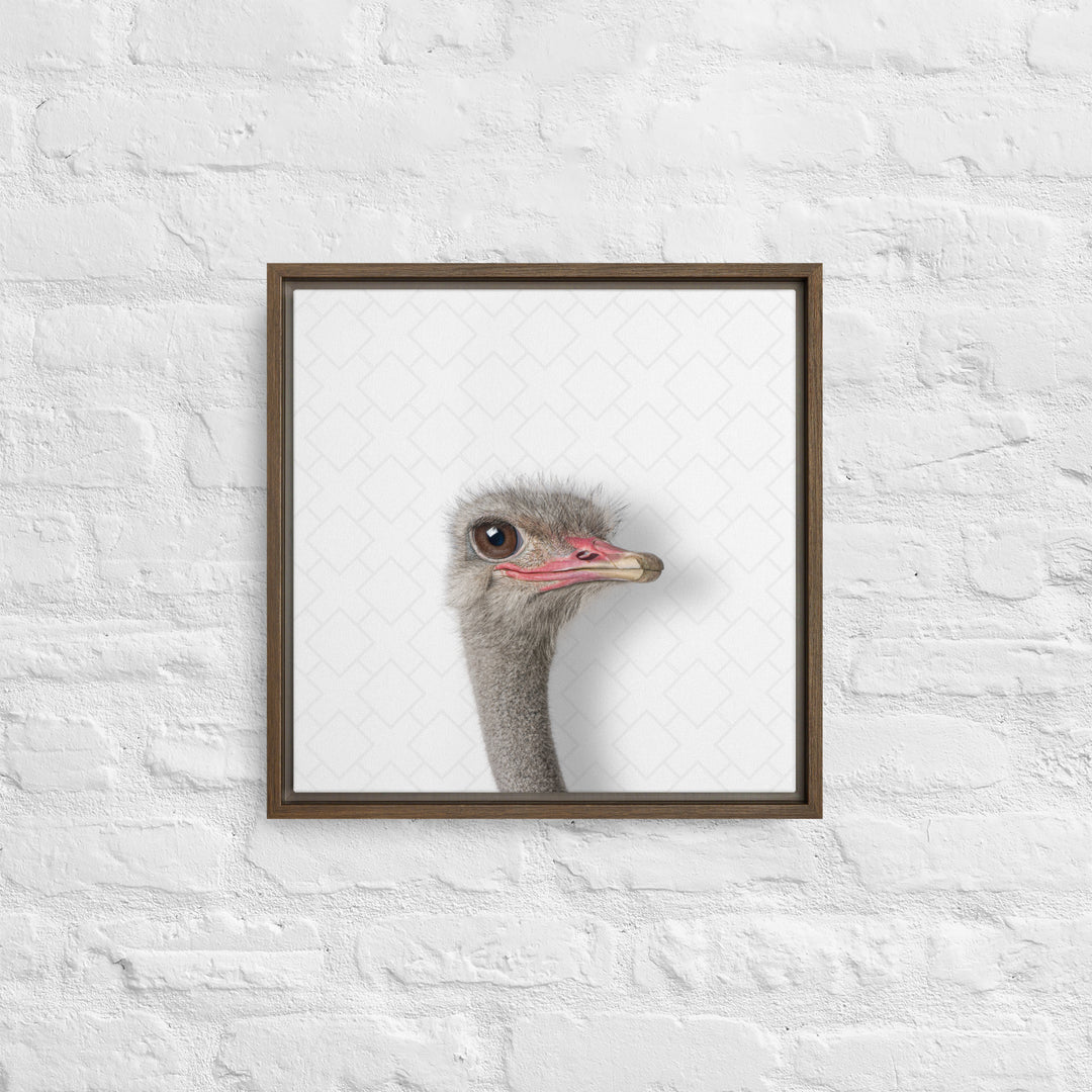 Intrigued Ostrich - Beakaboo - Framed Canvas