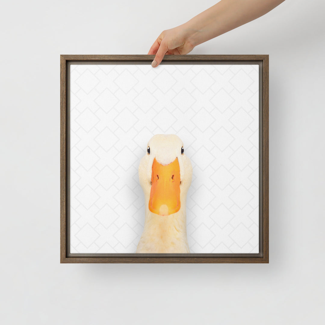 Quirky Duck - Beakaboo - Framed Canvas