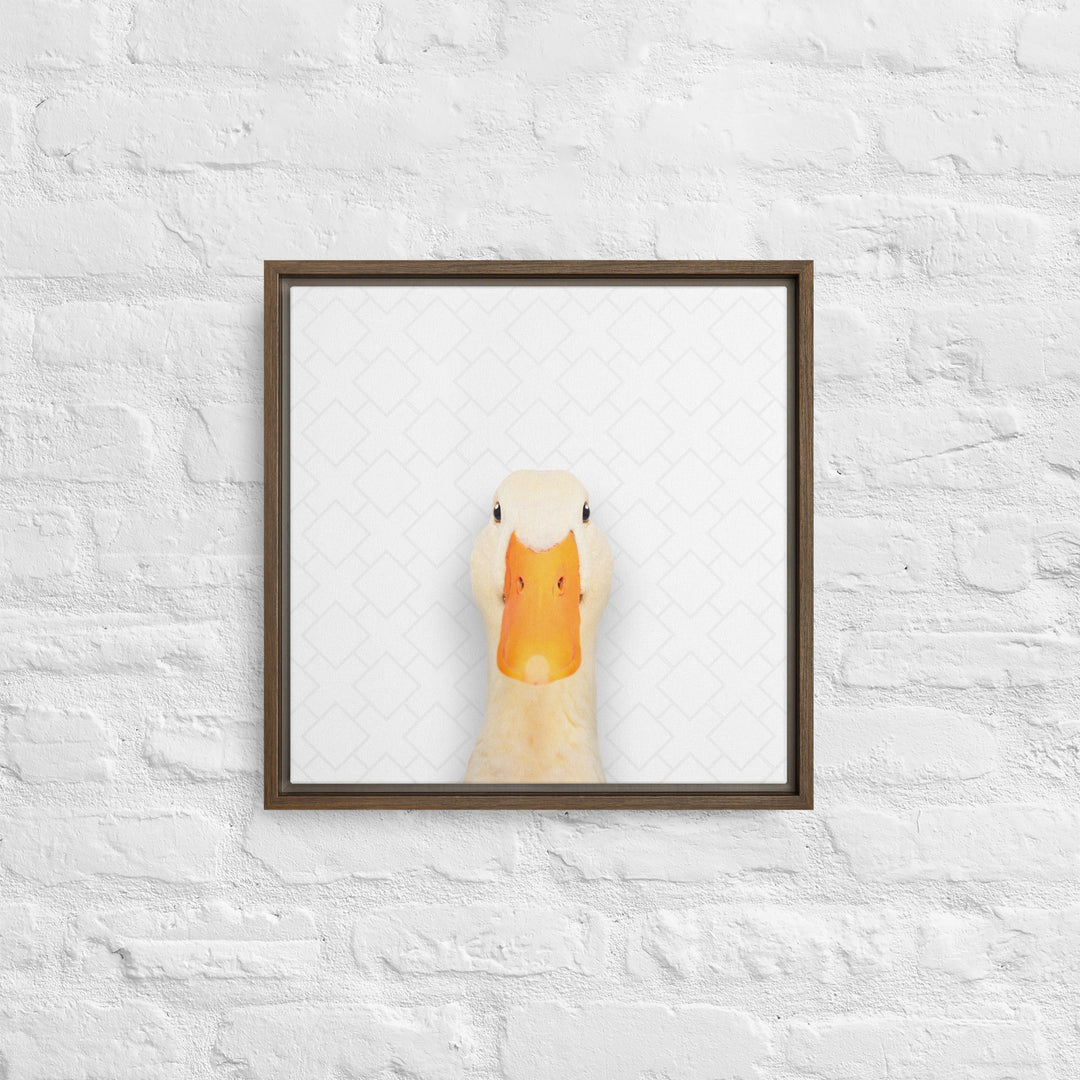 Quirky Duck - Beakaboo - Framed Canvas