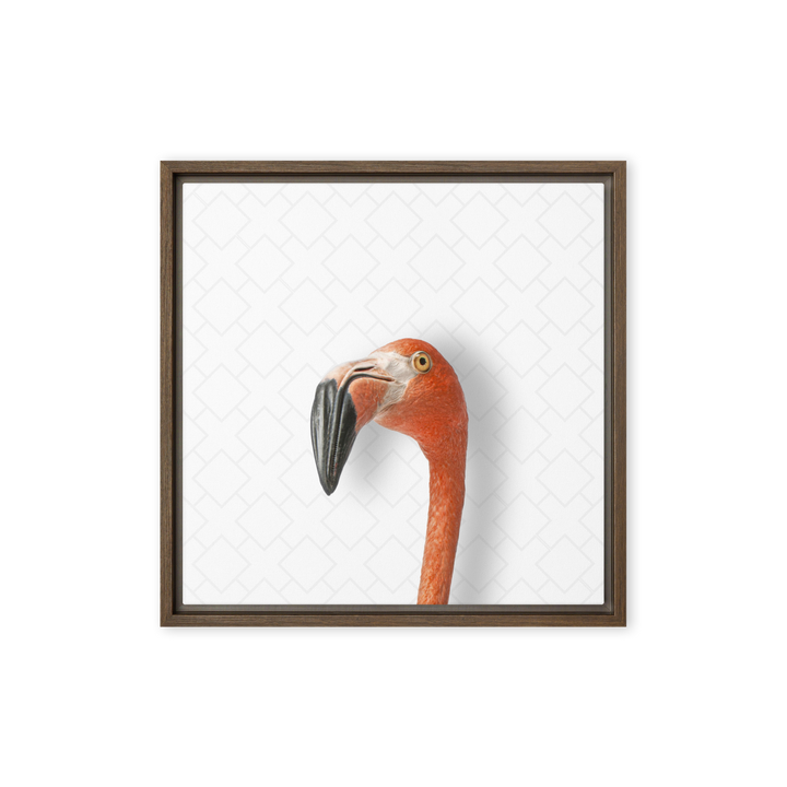 Suspicious Flamingo - Beakaboo - Framed Canvas