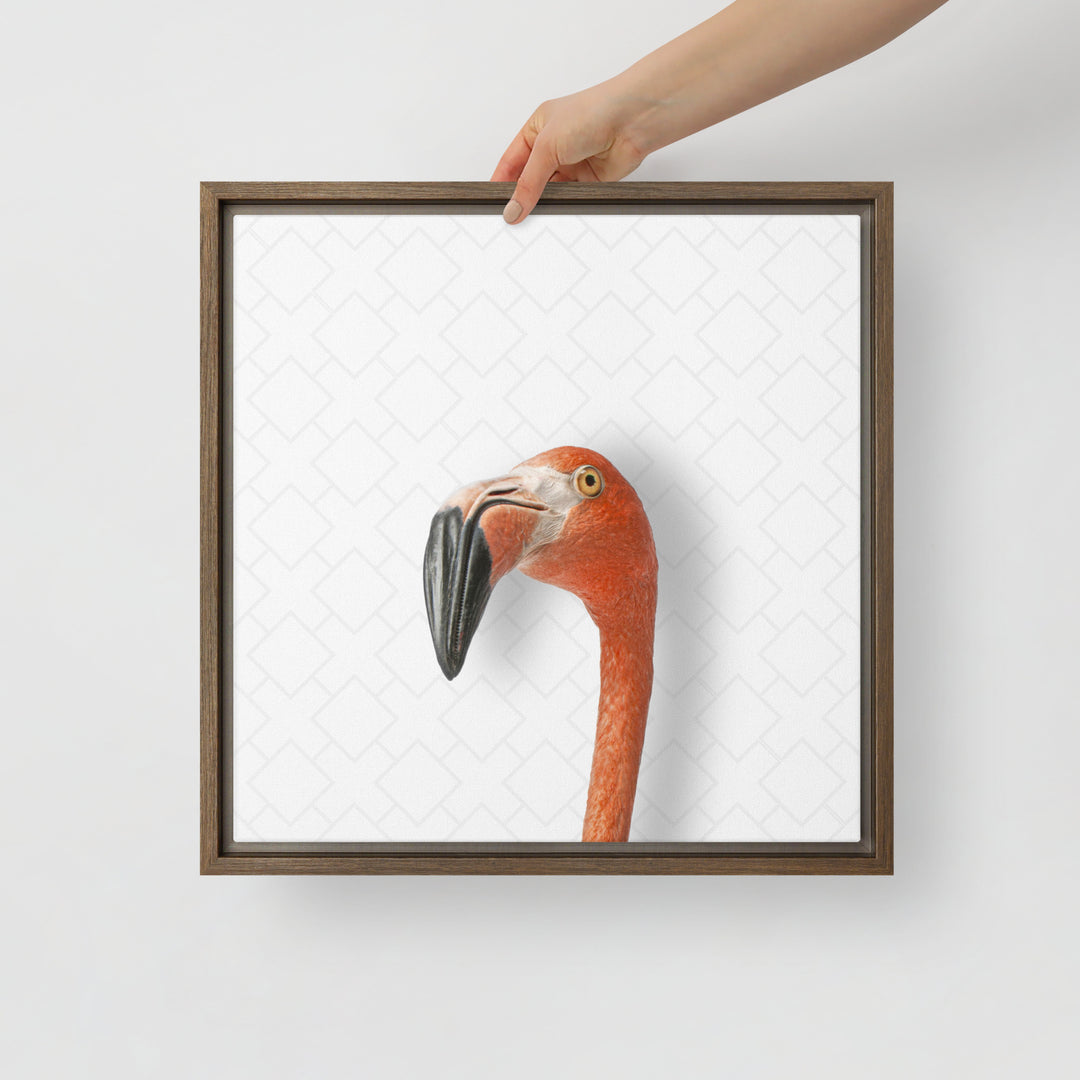 Suspicious Flamingo - Beakaboo - Framed Canvas