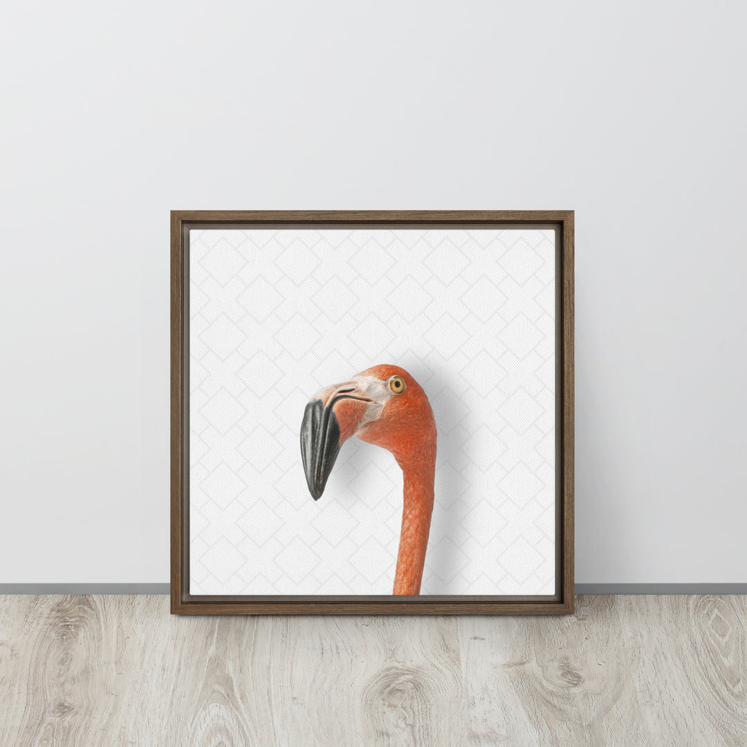 Suspicious Flamingo - Beakaboo - Framed Canvas