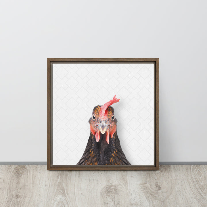 Focused Rooster - Beakaboo - Framed Canvas