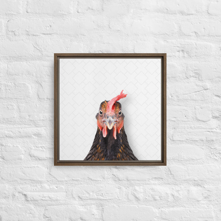 Focused Rooster - Beakaboo - Framed Canvas