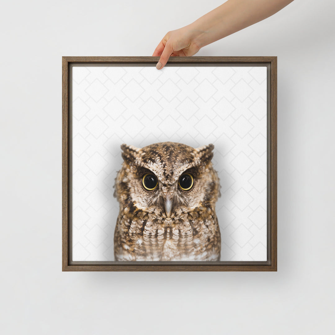 The Wise Owl - Beakaboo - Framed Canvas