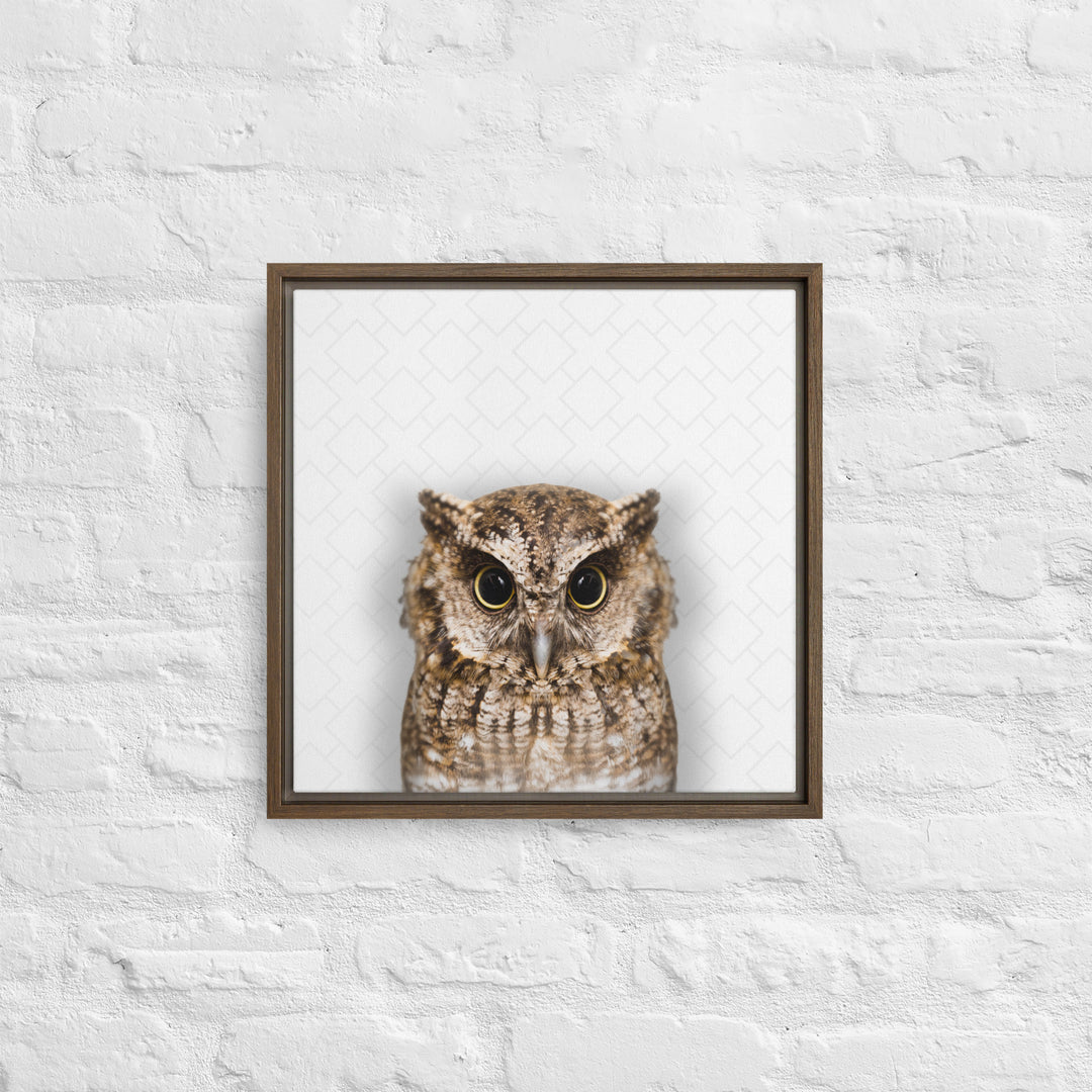 The Wise Owl - Beakaboo - Framed Canvas