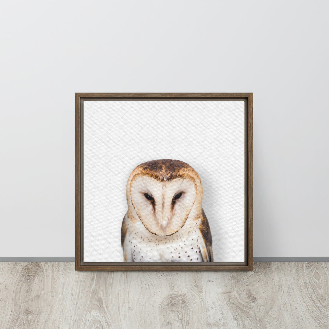 Gentle Barn Owl - Beakaboo - Framed Canvas