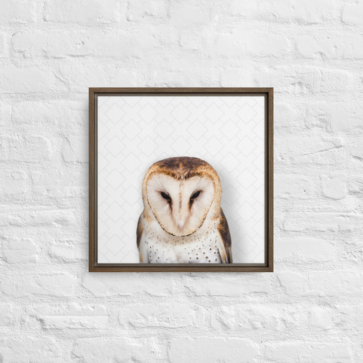 Gentle Barn Owl - Beakaboo - Framed Canvas