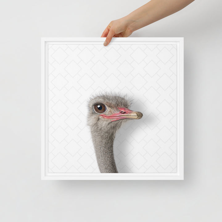 Intrigued Ostrich - Beakaboo - Framed Canvas