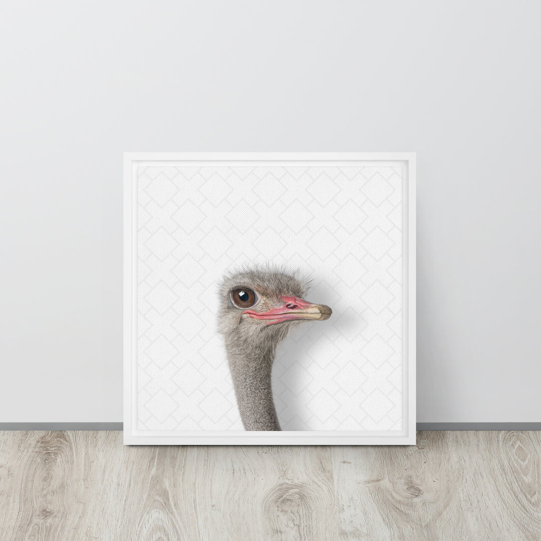 Intrigued Ostrich - Beakaboo - Framed Canvas