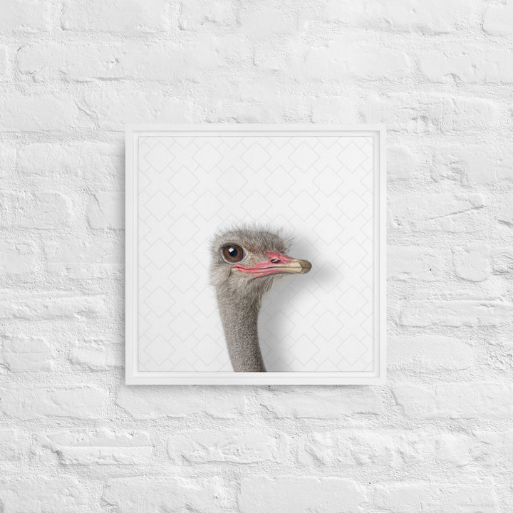 Intrigued Ostrich - Beakaboo - Framed Canvas