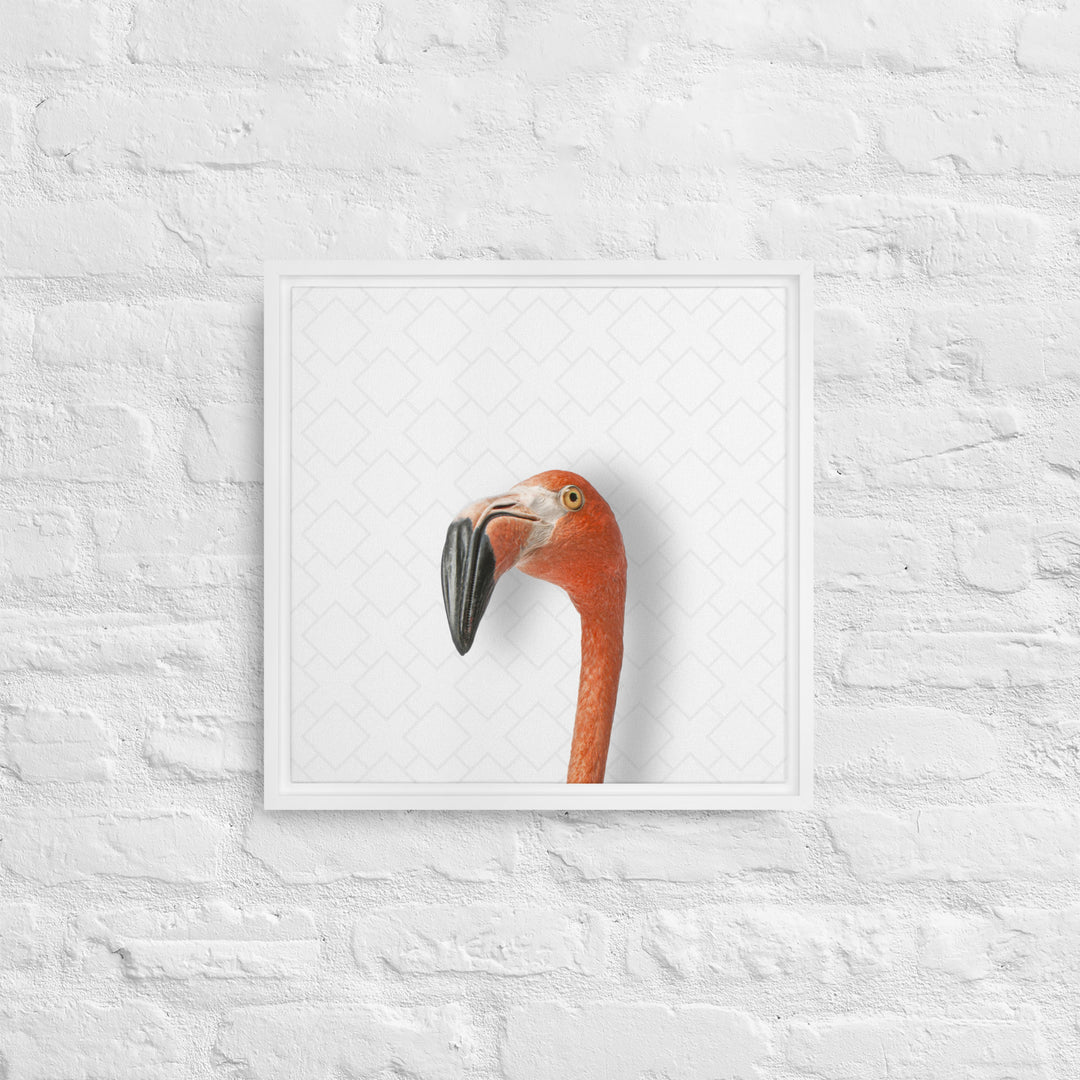 Suspicious Flamingo - Beakaboo - Framed Canvas