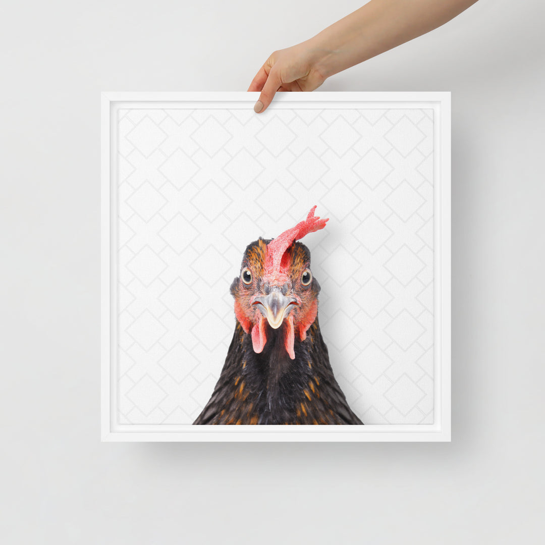 Focused Rooster - Beakaboo - Framed Canvas