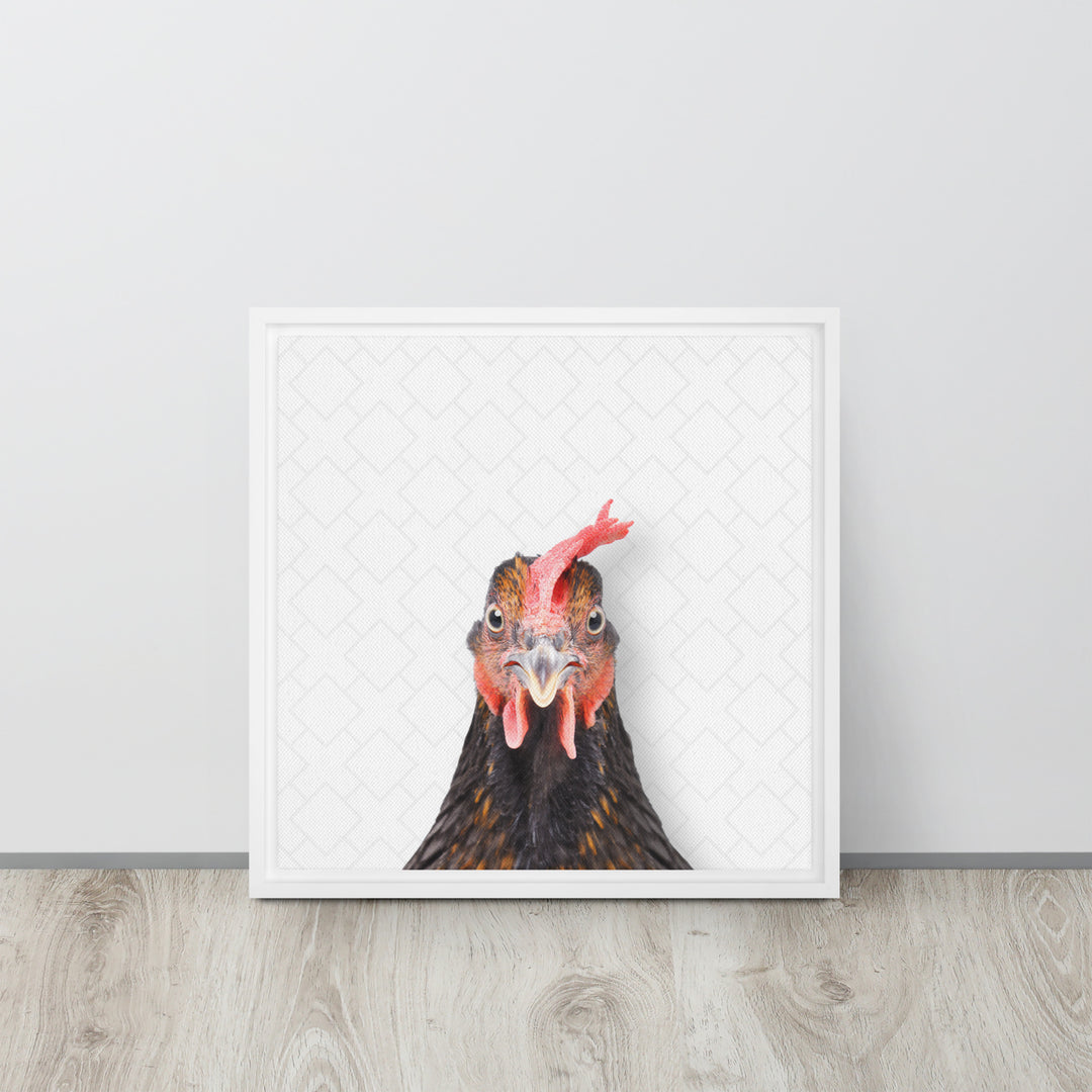 Focused Rooster - Beakaboo - Framed Canvas