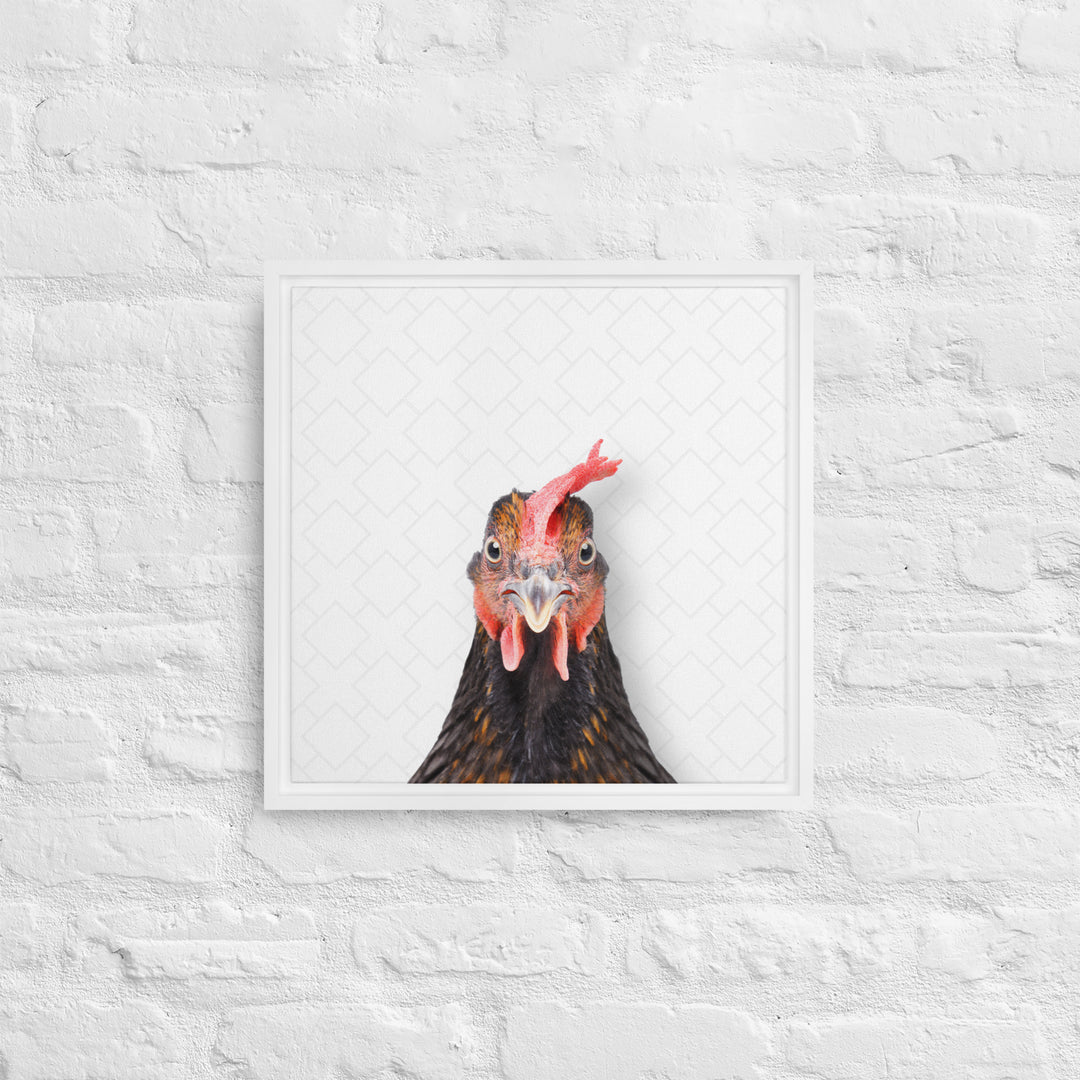 Focused Rooster - Beakaboo - Framed Canvas