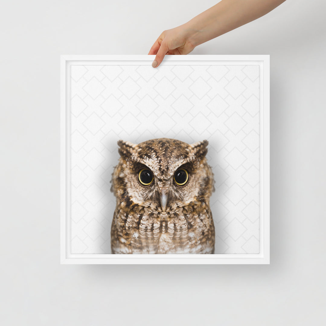 The Wise Owl - Beakaboo - Framed Canvas