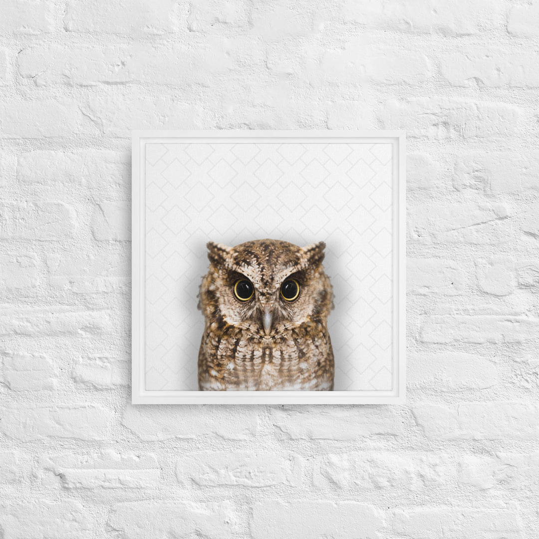 The Wise Owl - Beakaboo - Framed Canvas