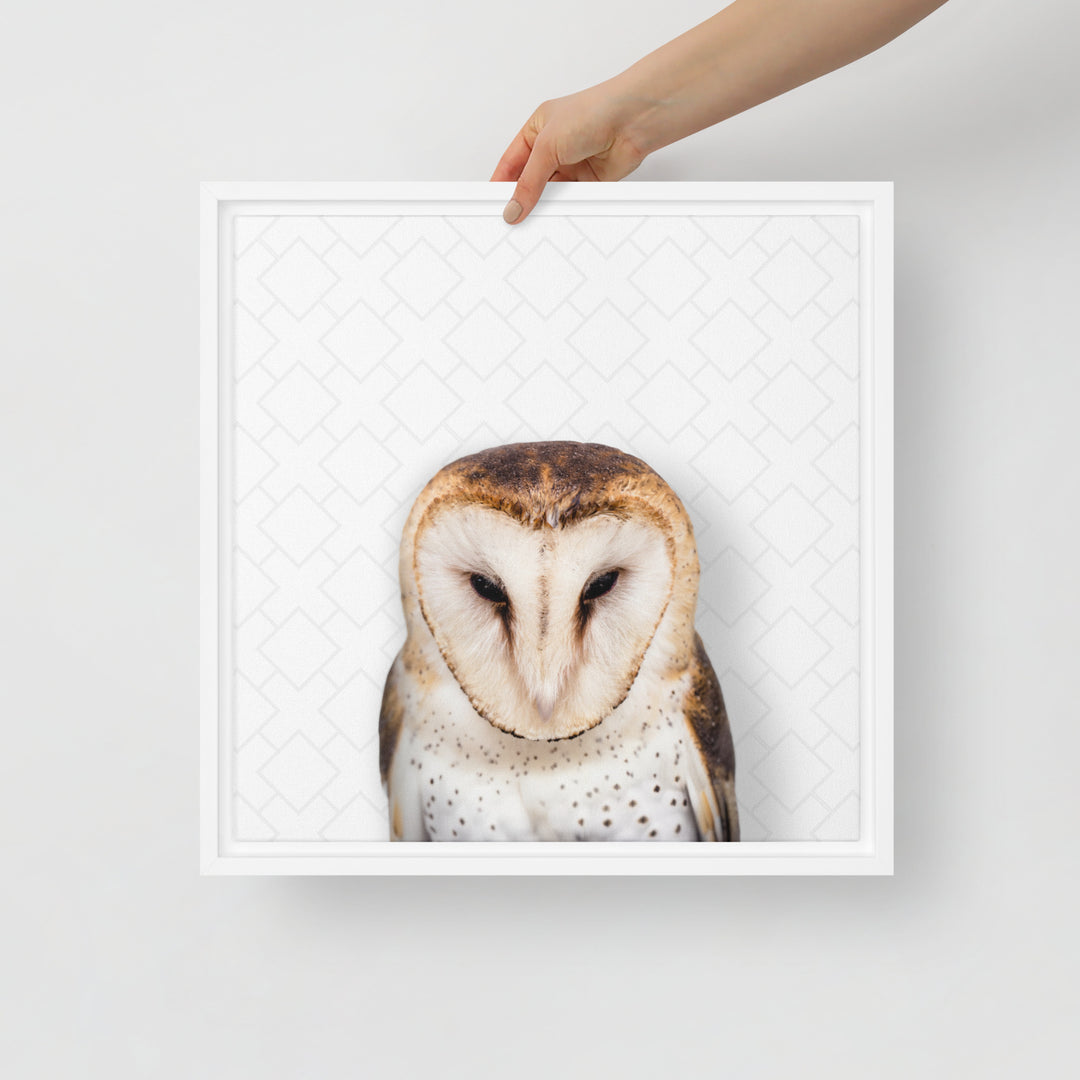 Gentle Barn Owl - Beakaboo - Framed Canvas