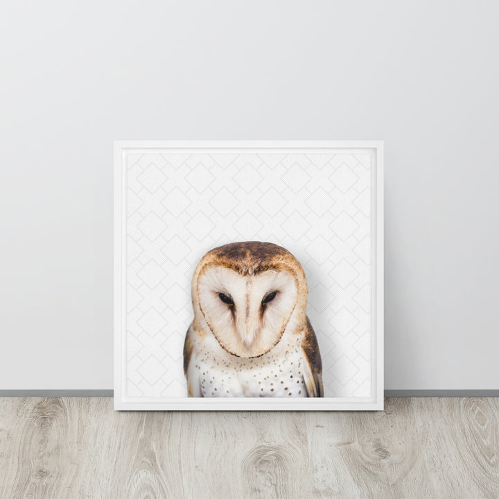 Gentle Barn Owl - Beakaboo - Framed Canvas