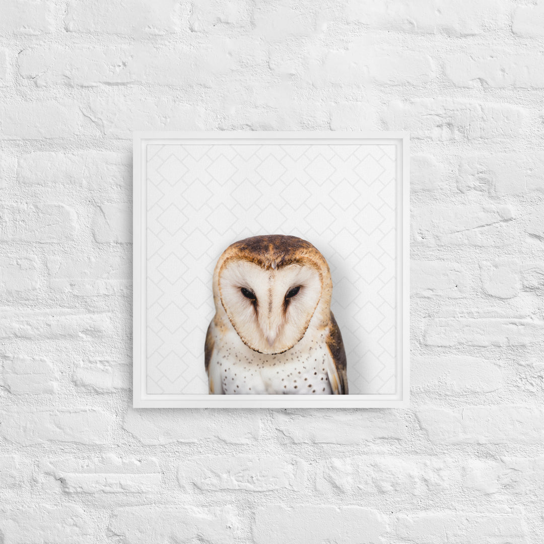 Gentle Barn Owl - Beakaboo - Framed Canvas