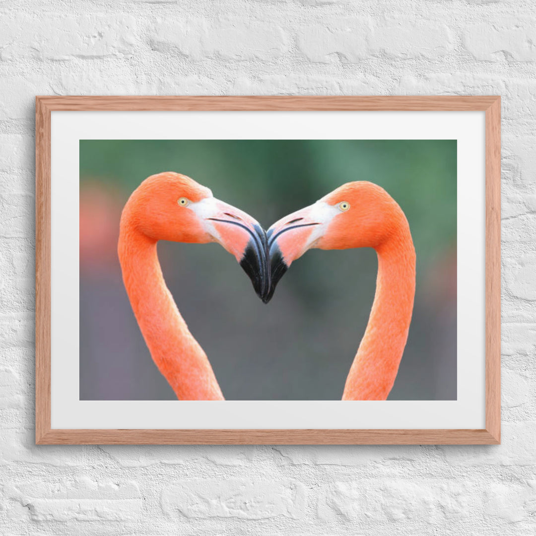 Love in Pink: Two Flamingos Forming a Heart - Framed Wall Art