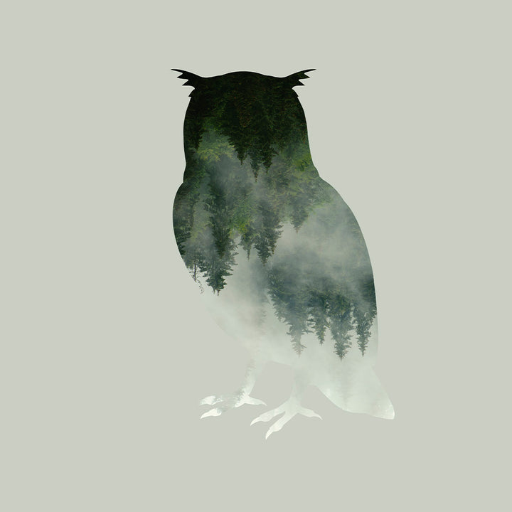 Reflections of the Wild - Mystic Owl with Emerald Forest Silhouette